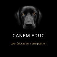CANEM EDUC logo - Similar company to Canem Detect
