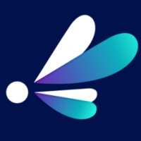 Luminize logo - Similar company to Ao2 Management