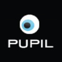 Pupil