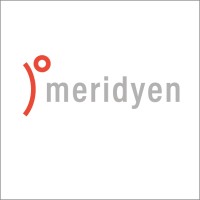 Meridyen Bilgi Teknolojileri logo - Similar company to Software Academy