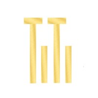 TiTi Technology and Business Pioneers logo - Similar company to Viness (M) Sdn Bhd