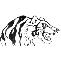 Kim's Maintenance Services