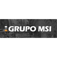 GRUPO MSI logo - Similar company to Wvg