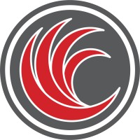 Red River Software logo - Similar company to Microimaging Source, Inc.