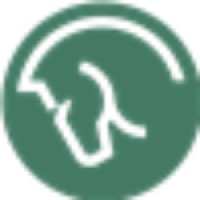 Raimon Group گروه رایمون logo - Similar company to تجارت الکترونیک دی  |  Day E-Commerce