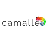Camalle logo - Similar company to Nrp