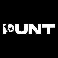 Punt logo - Similar company to Bold Byte Tech