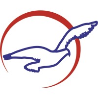 Air Peace Limited logo - Similar company to Faa U.S. Agent For Service