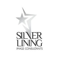 Silver Lining Co logo - Similar company to Cleary Strategies