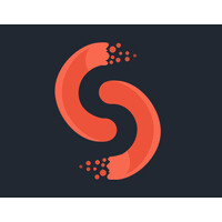 SelerityGaming logo - Similar company to Language Centre Lingua