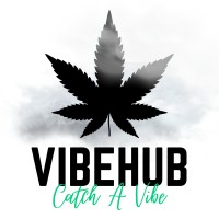 VIBEHUB logo - Similar company to Vibehub