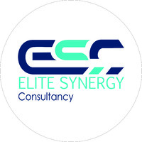 Elite Synergy Consultancy logo - Similar company to Agileedge Management Consultancy - Amc