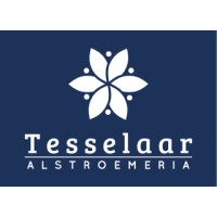 Tesselaar Alstroemeria logo - Similar company to Acf Bentveld
