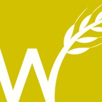 Feldwerke logo - Similar company to Bevel