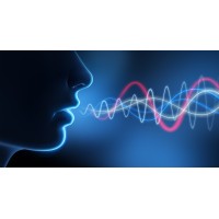 Accent Language Services for Professionals logo - Similar company to Accent Group Solutions