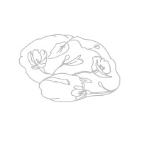 Glioblastoma Research Organization logo - Similar company to Aware Coaching