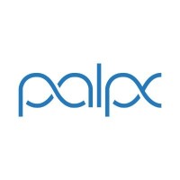 Palpx | Technology & Design logo - Similar company to Levisoft Technologies Pvt Ltd
