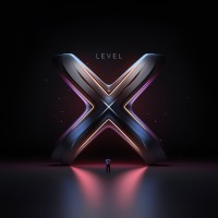 LevelX Design logo - Similar company to Aflow