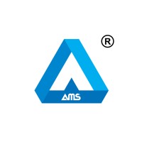 AMS JSC logo - Similar company to Dibiz