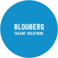 Blouberg Talent Solutions logo - Similar company to Bigbrave™