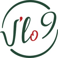 VLo9 logo - Similar company to Esprit Cycles