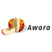 Awara Group logo - Similar company to Nikola Network
