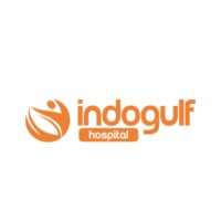 Indogulf Hospital logo - Similar company to Summit Talent Solutions Inc.