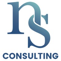 ns regconsulting logo - Similar company to Dextreg