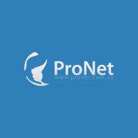 ProNet logo - Similar company to Pronet Llc