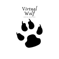Virtual Wolf logo - Similar company to Physicians First Messages, Inc.