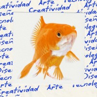 Cardumen Creativo logo - Similar company to Klön Digital