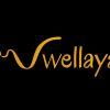 Wellaya logo - Similar company to Growvalley