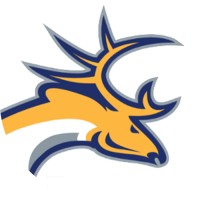Tilburg Trappers logo - Similar company to Vmgr