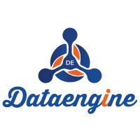 DataEngine logo - Similar company to Dataengine