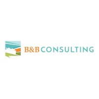 B & B Consulting logo - Similar company to Synzentech