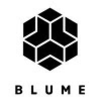BlumeWorks.co logo - Similar company to Main Street Data