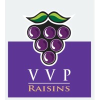 VVP International logo - Similar company to Vp Internationals