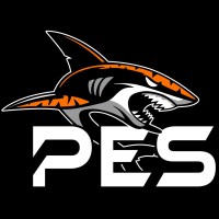 Princeton Electric Speedboating logo - Similar company to Ignitestem