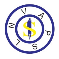 NEW VISION ACCOUNTING & PROFESSIONAL SERVICES LIMITED (NVAPSL) logo - Similar company to Vision Accounting