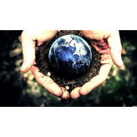 Purpose Guides Institute