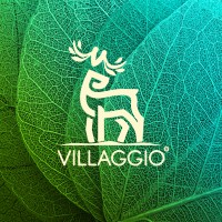 Villaggio logo - Similar company to Techgovernance Solutions