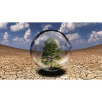 The Biodiversity and Climate Change Network (BCCN). logo - Similar company to Possibility Practitioners