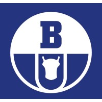 Boryszew S.A. logo - Similar company to Boryszew Erg