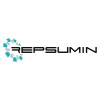 Repsumin SAS logo - Similar company to Pci Graphics