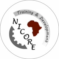 Nicore Training & Development logo - Similar company to Silver Sage Creative