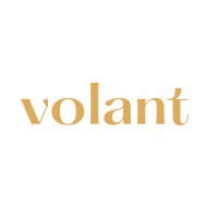 volant logo - Similar company to Trading Guild
