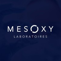 Mesoxy Laboratoires logo - Similar company to Kontra Digital Services