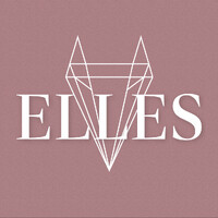 ELLES logo - Similar company to Api - Akademie Produktivity A Inovací, S.R.O.