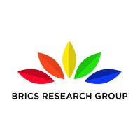 BRICS Research Group logo - Similar company to Saavha Inc