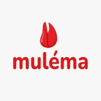MULEMA logo - Similar company to Accelinteli Technology&Consultancy